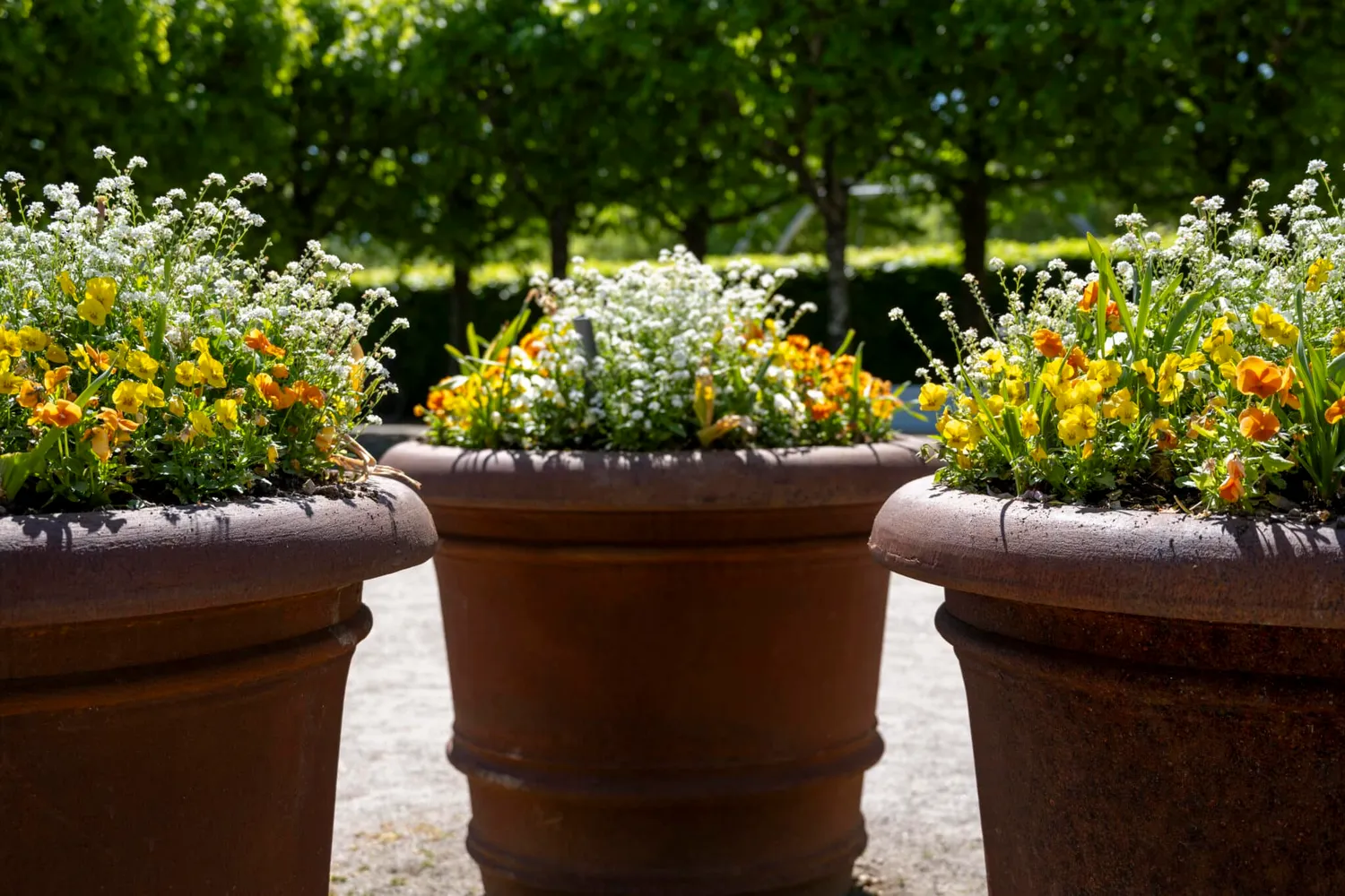 GH Form Matera blomsterkumme støbejern
